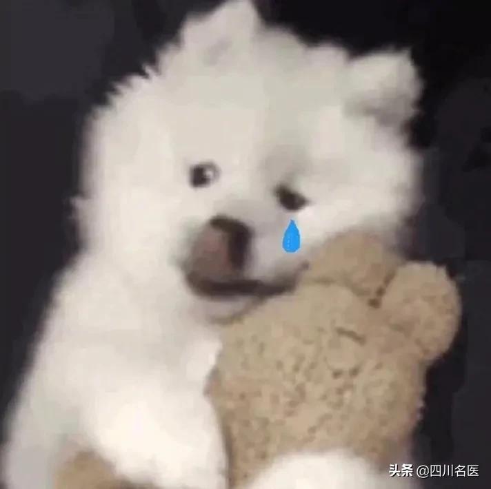 精子是如何产生的百科,精子是不是每天都能生成