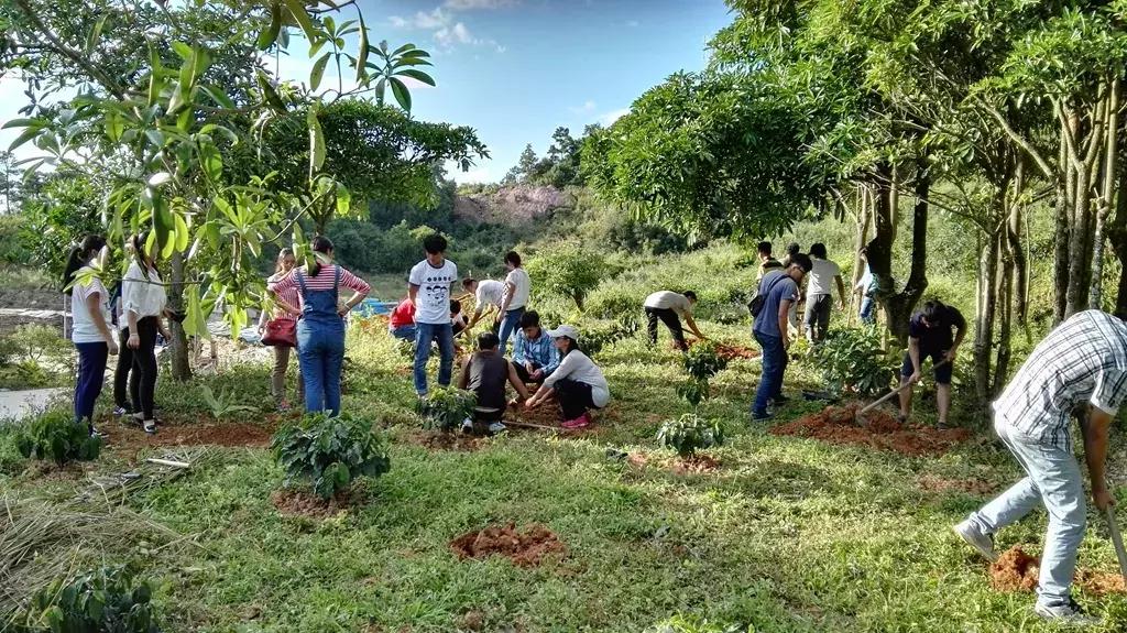 农大毕业怎么找工作,农大毕业现状