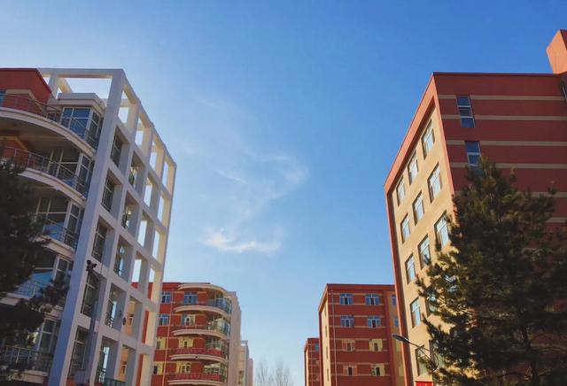 黑龙江生物科技职业学院,黑龙江生物科技职业学院食品