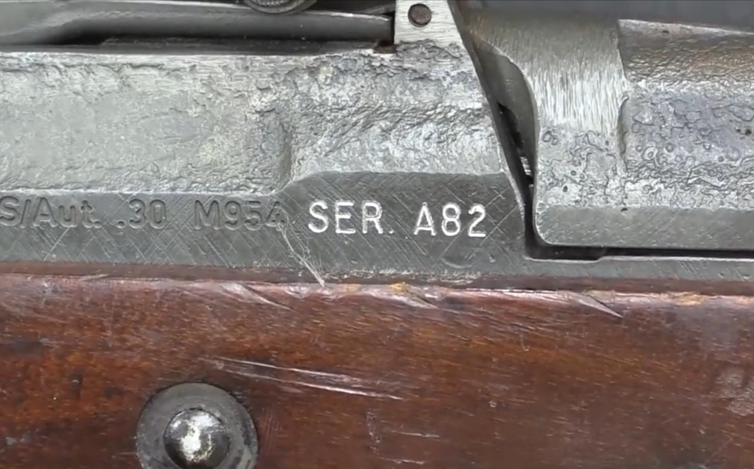 发射美国枪弹的德式步枪,巴西md步枪