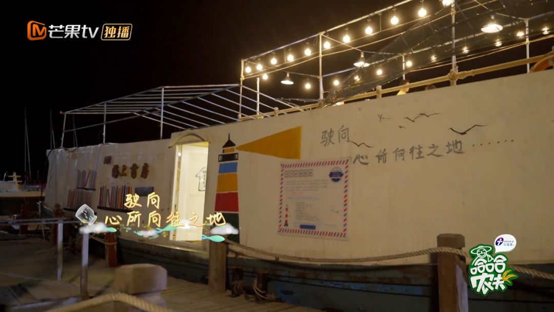 《哈哈农夫》西岛站：王源、杨超越、贾乃亮、金瀚说出明星的烦恼