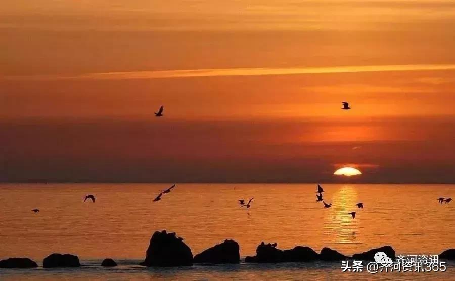 爆发!这个齐河,为何又被济南垂涎?