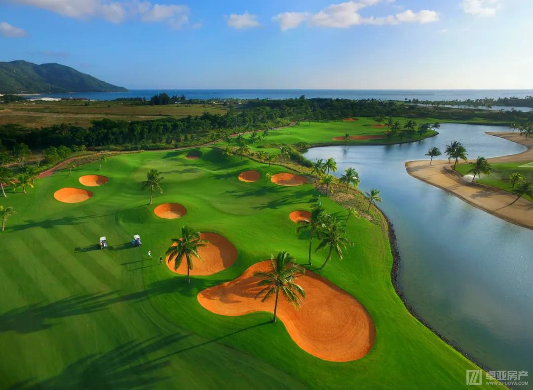 全球高尔夫,全球高尔夫挥杆