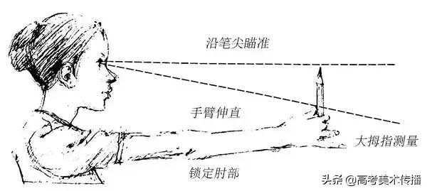 画画造型要到位,画画时怎样才能把形弄准