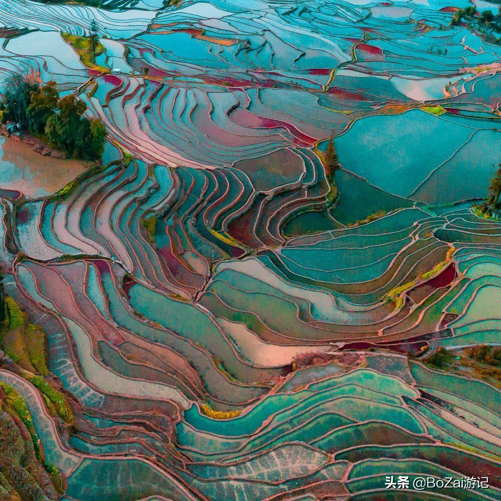 云南旅游攻略最佳线路洱海,到云南旅游必去景点推荐