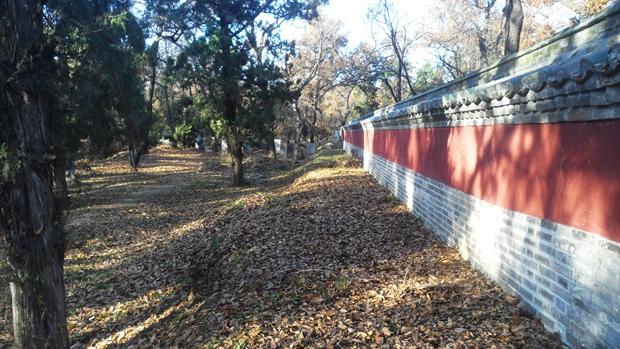 孔林是最大的氏族墓地吗,孔林最大墓葬群