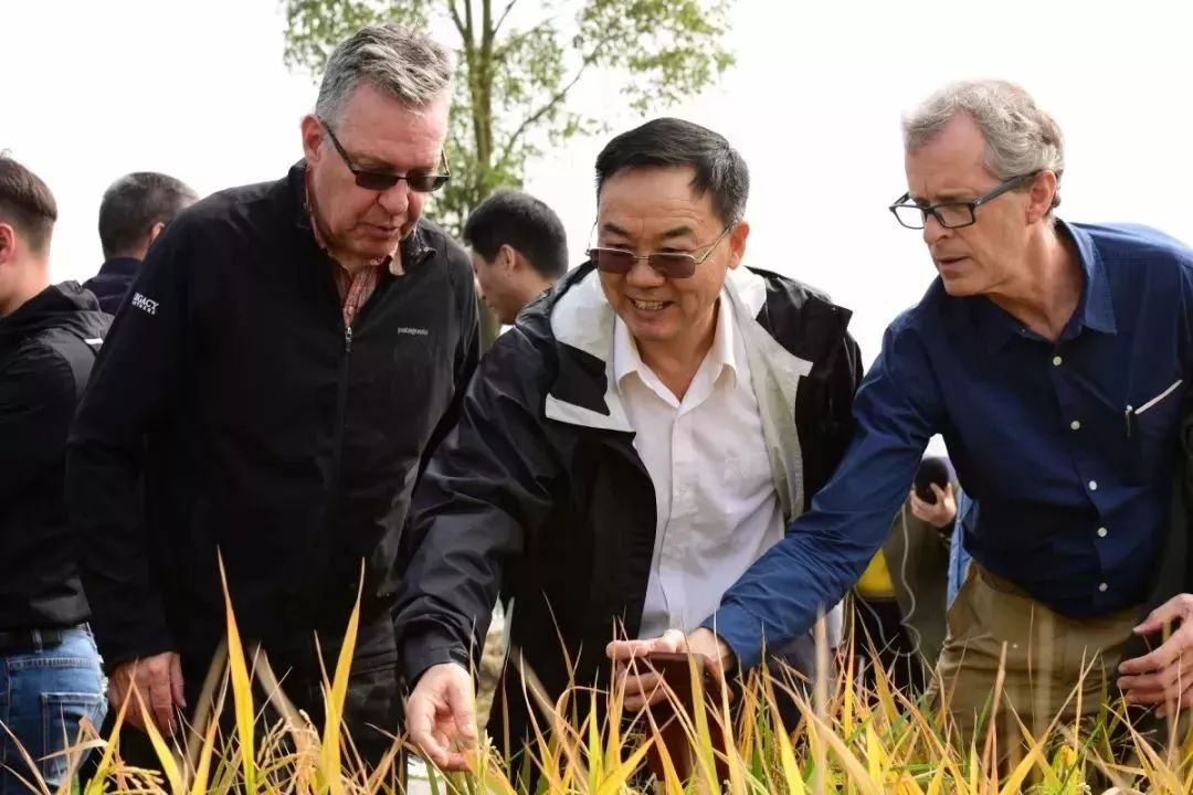 全国第一!华中农业大学真是太太太牛了
