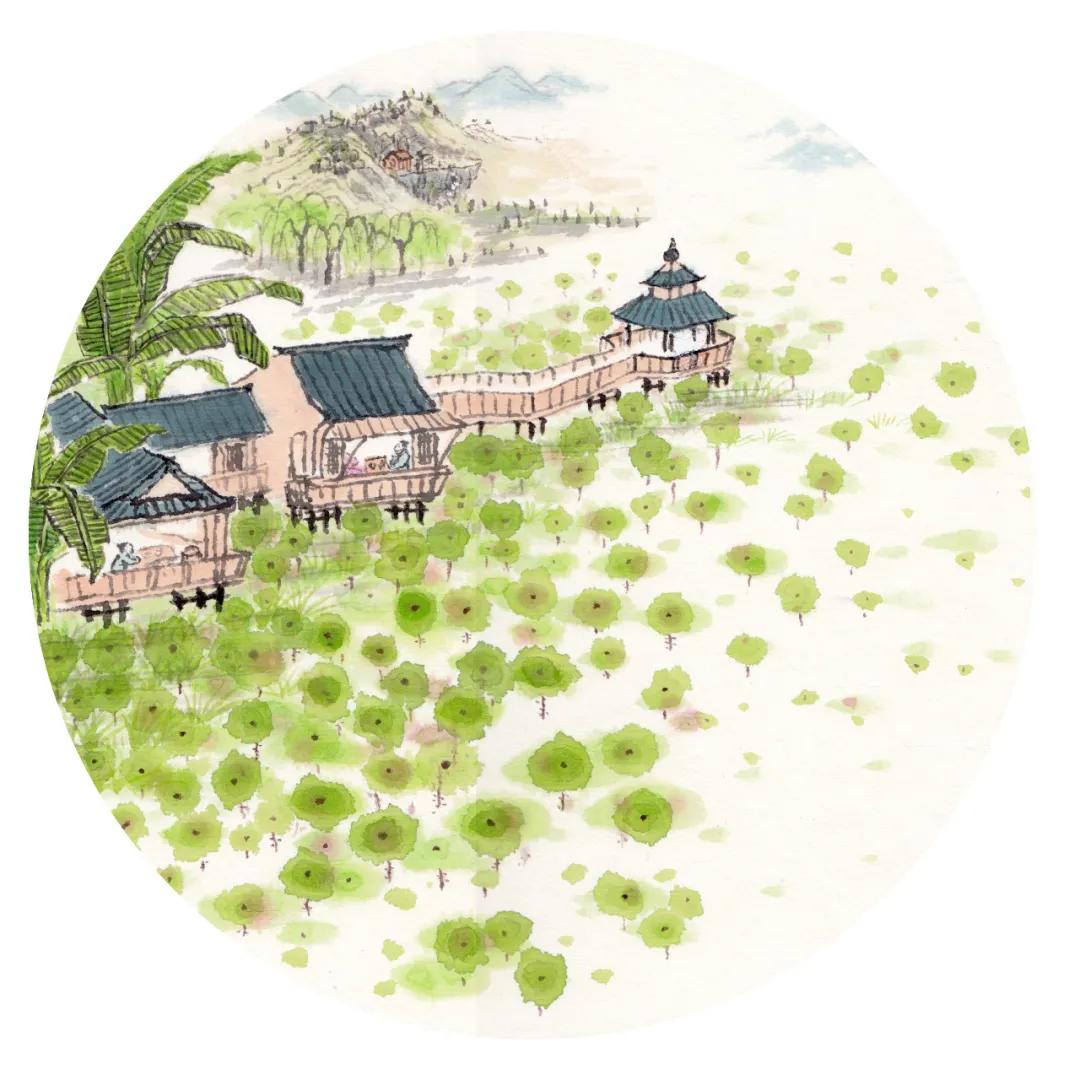 你好夏天立夏已至完整版,立夏你好抖音