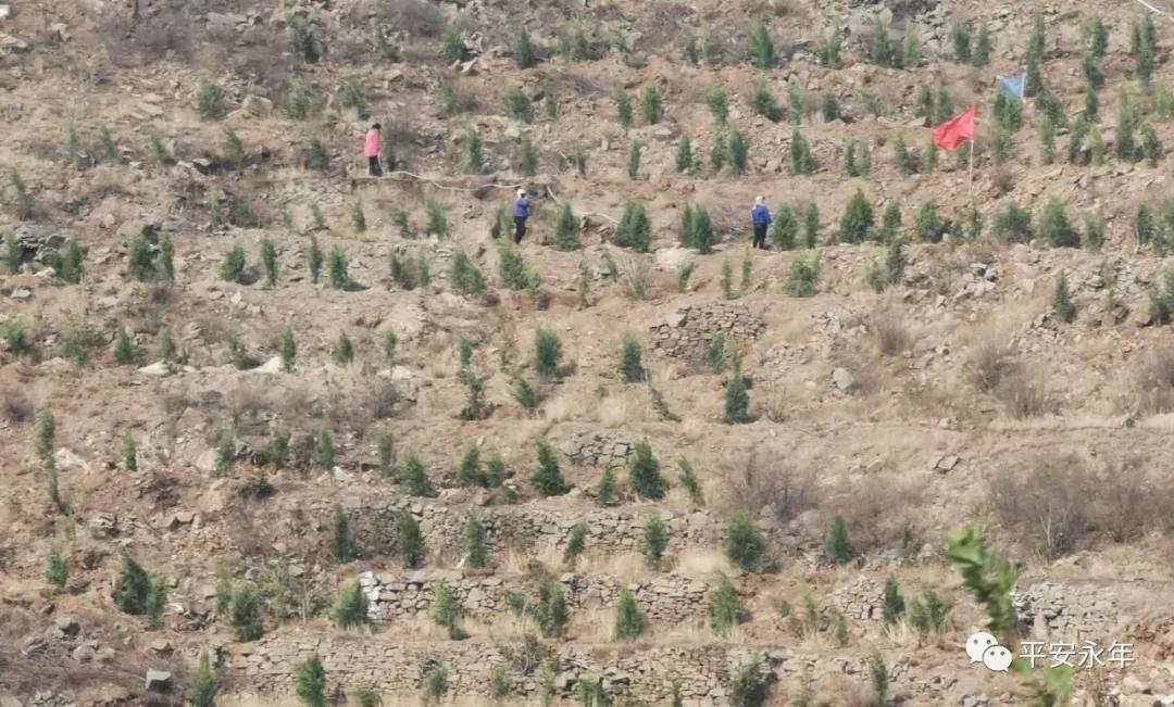 【永年公安】节日“警”相随,十里春风,最美“警”色在这里!