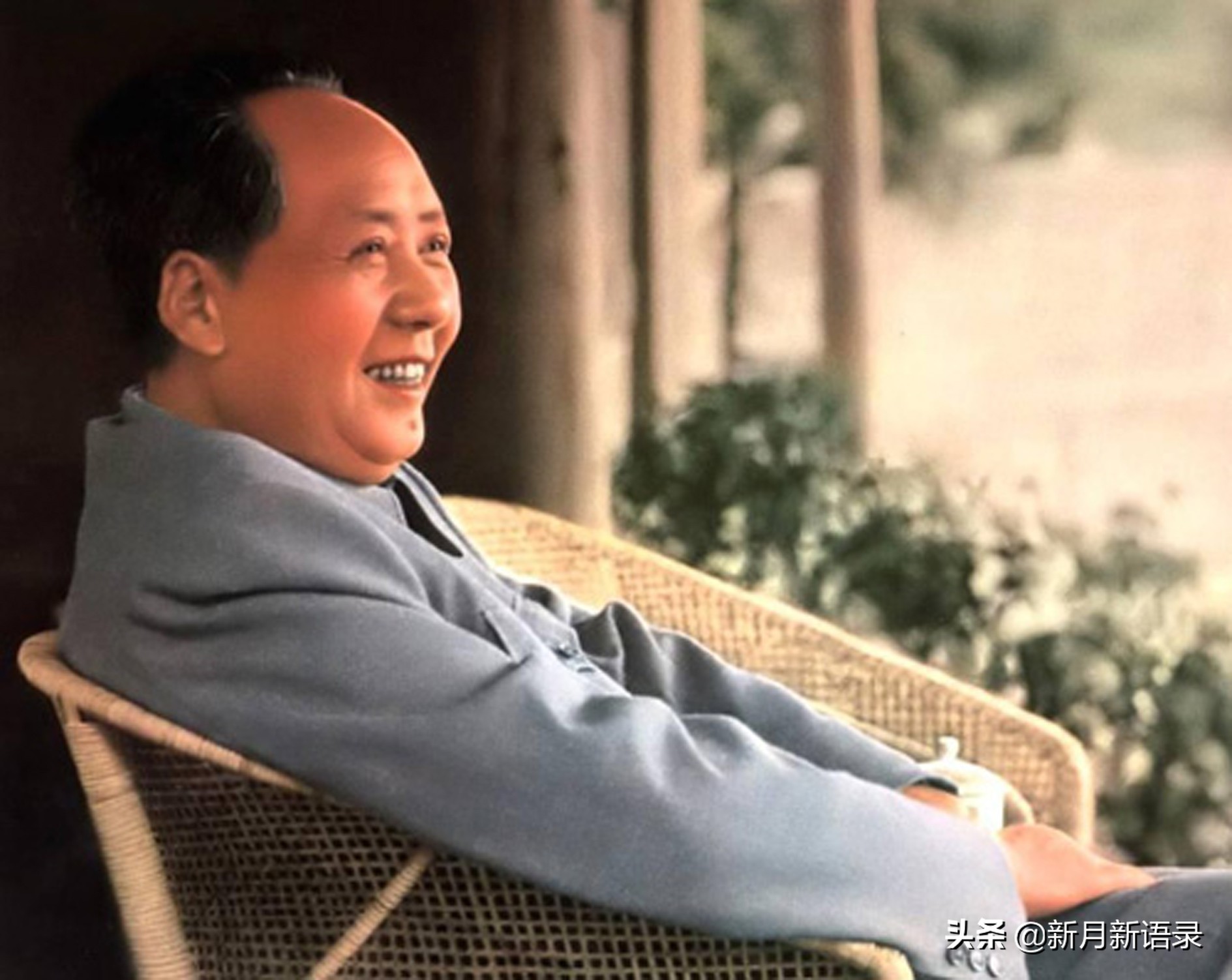 毛主席《满江红》说的“几只苍蝇”指谁?丨赵新月新解毛主席诗词