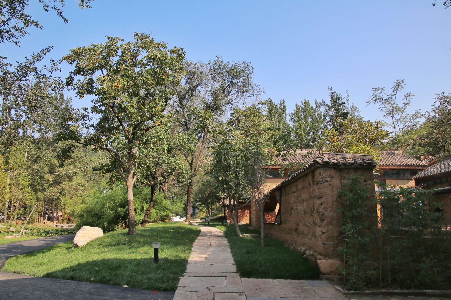 遇见不一样的济源：王屋山赏千年银杏，五龙口观太行猕猴