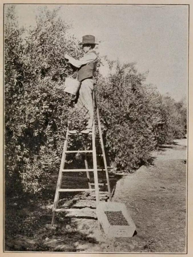 千古之谜的谜底,千古谜团未解之谜