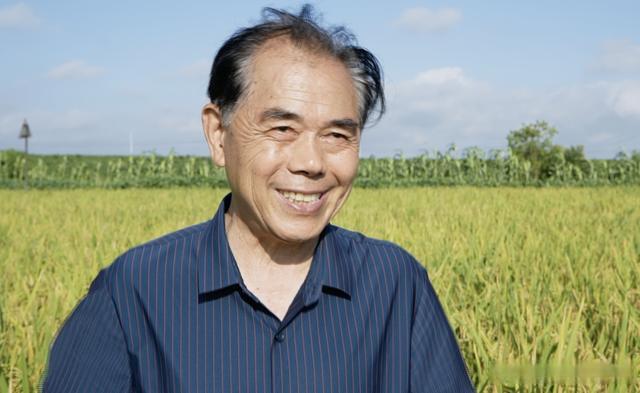 水稻种植户杨良金,杨良金有机大米