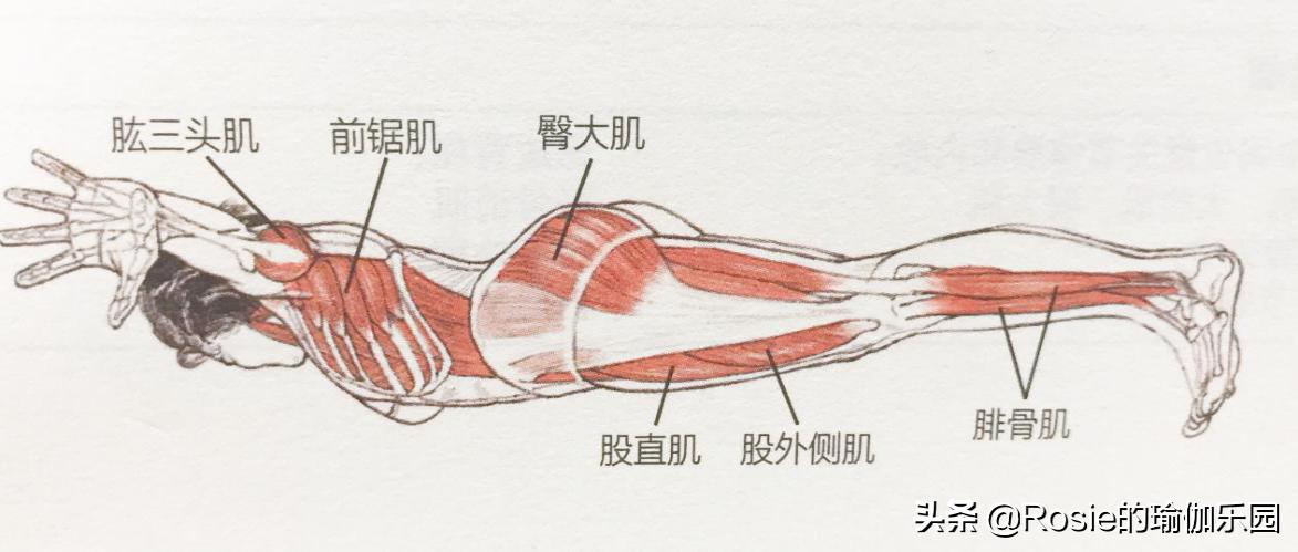 运动量过大腰疼怎么恢复,产后腰痛膝盖痛怎么锻炼