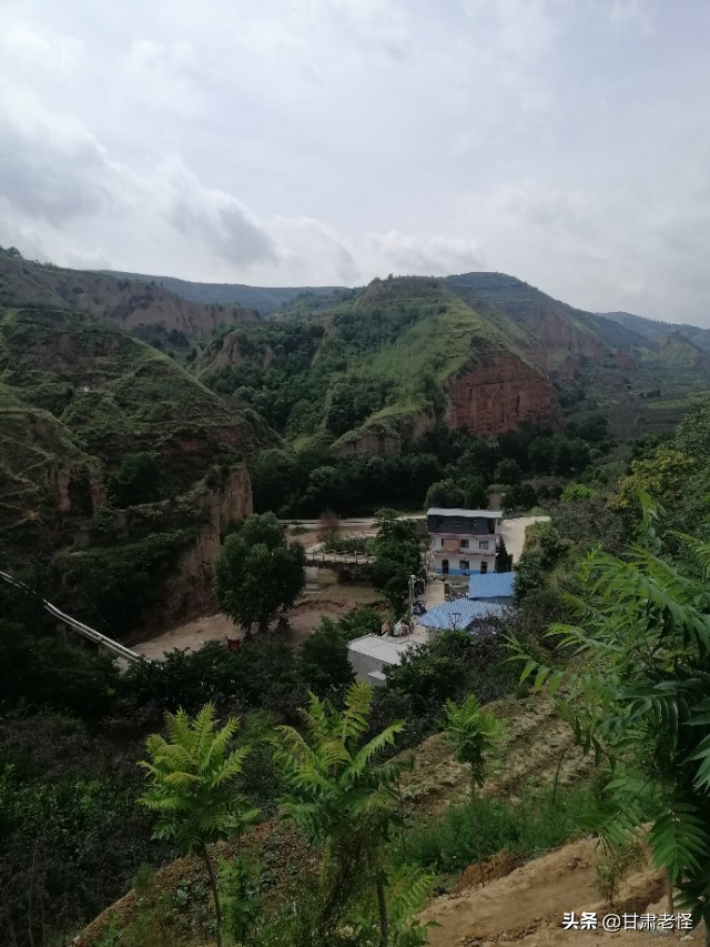 甘谷矿产,甘谷辣椒之乡