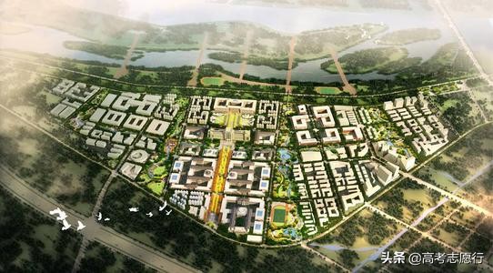 哈工大（深圳）“如日中天”，完胜校本部，超过“老邻居”西交