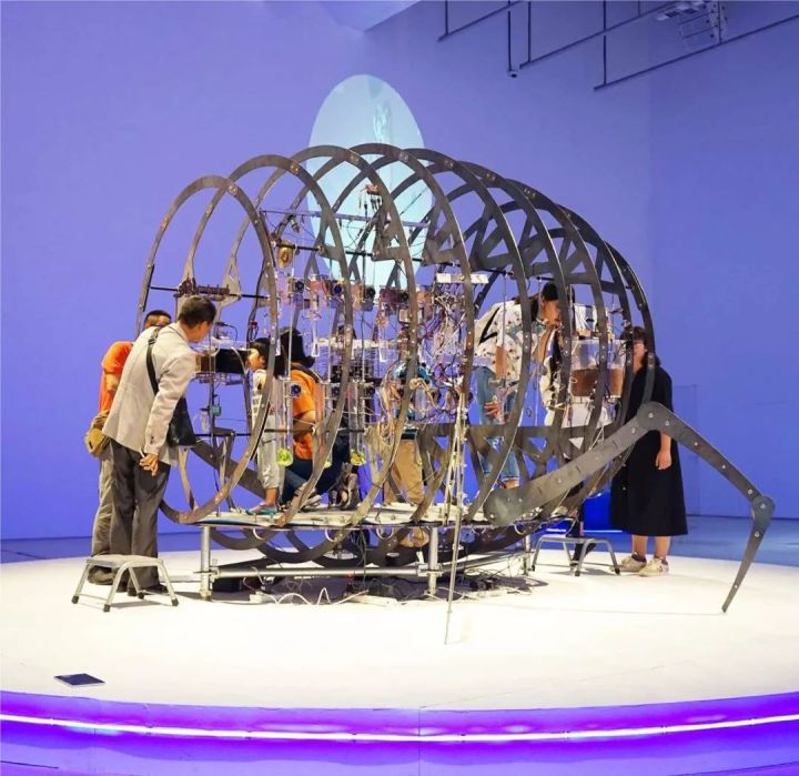 我的理想是当画家怎么实现,我的理想是当一名画家因为什么