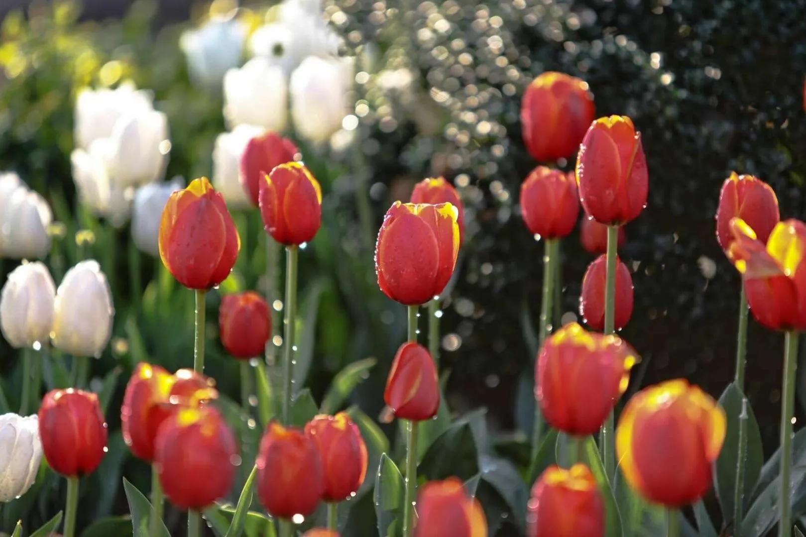 福建邵武旅游景点,