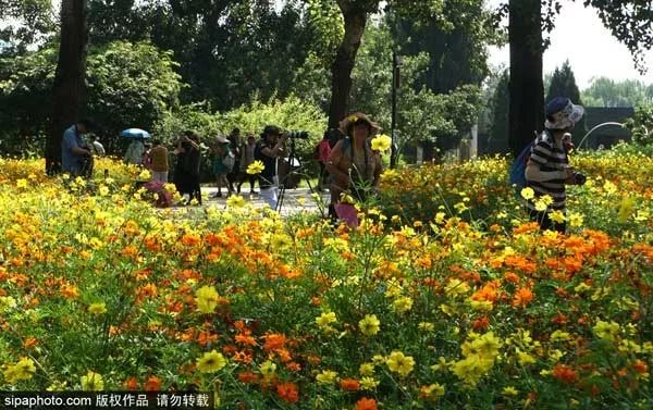 北京生活最不可少的一张卡开办！办理时间就一个月！,附上购买攻略和清单