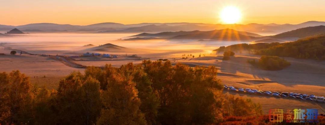 一到秋天,这里就美成了金色天堂!全世界独一份!