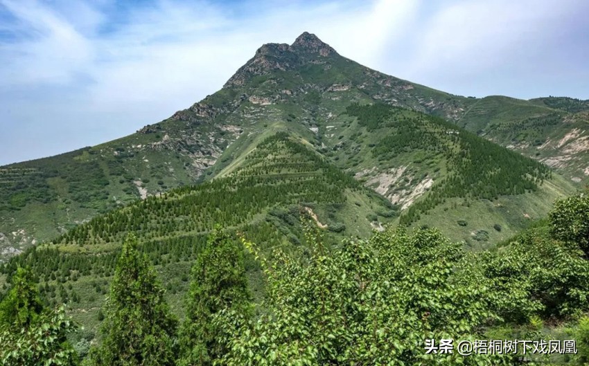 百年*物文**外流第一案新说:为集资办学卖掉唐太宗昭陵前“两匹马”