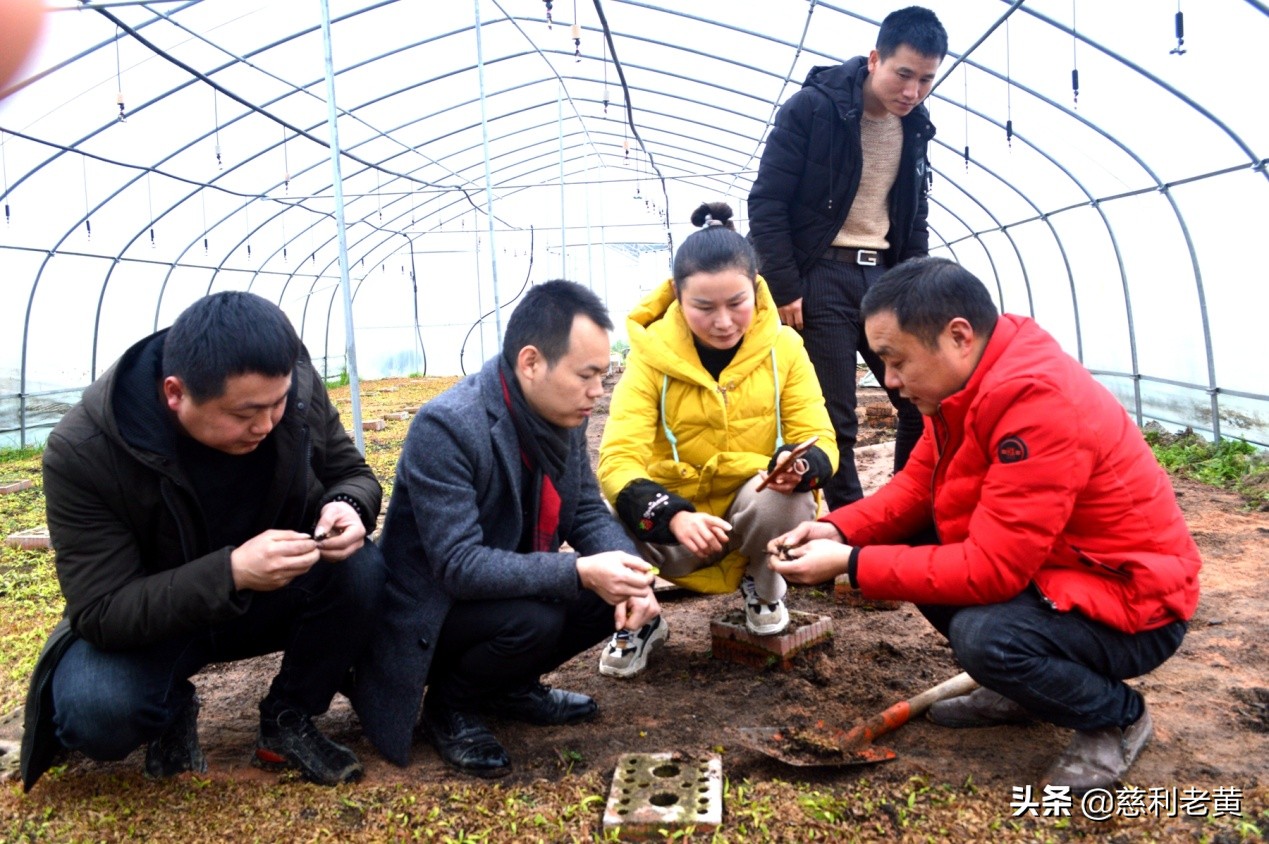 李文辉创业,李文辉生涯规划