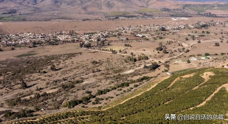 牛油果是坏了吗,牛油果几十年前