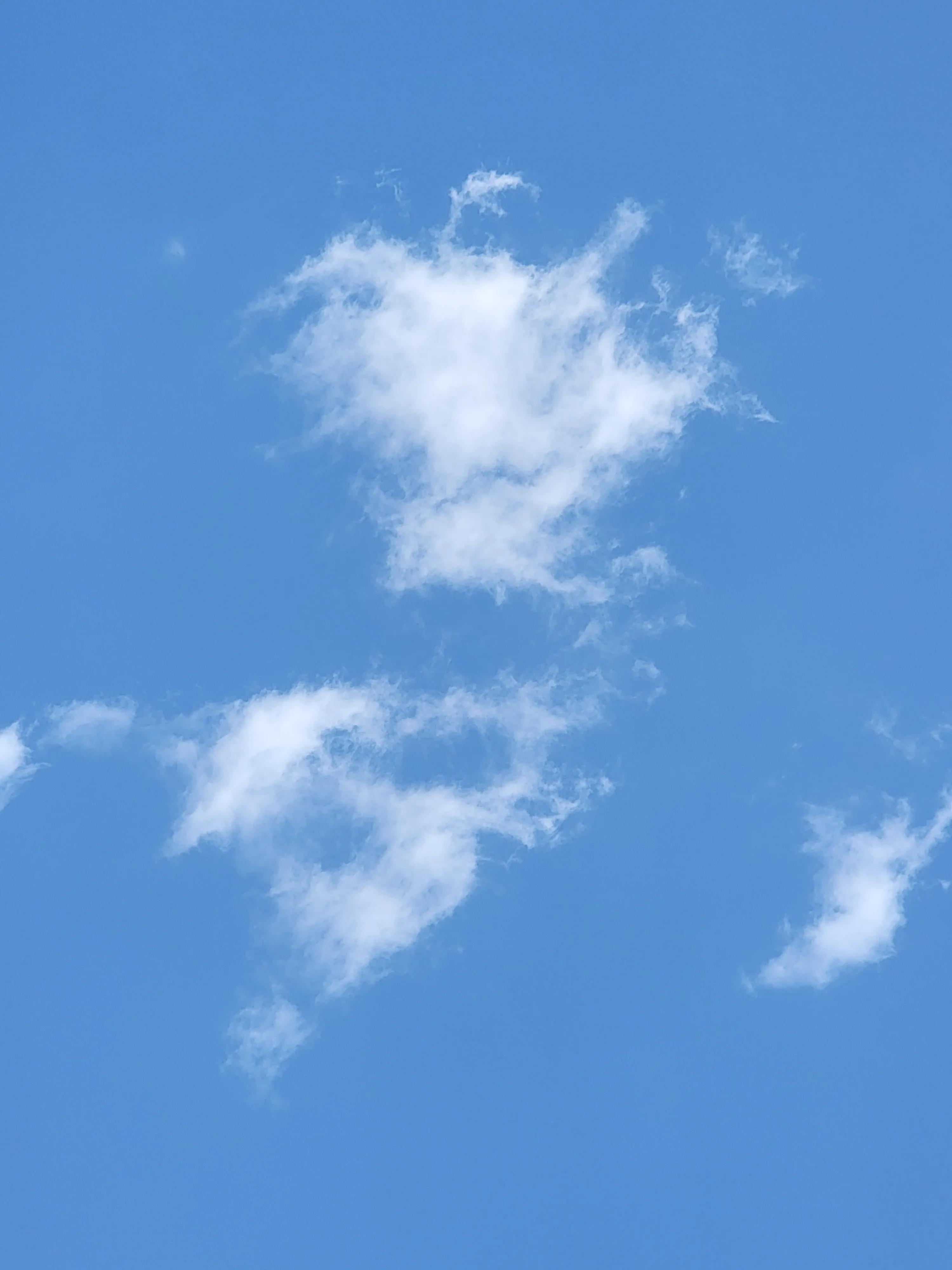 快乐动物园探险,愉快的旅行沈阳森林动物园一日游