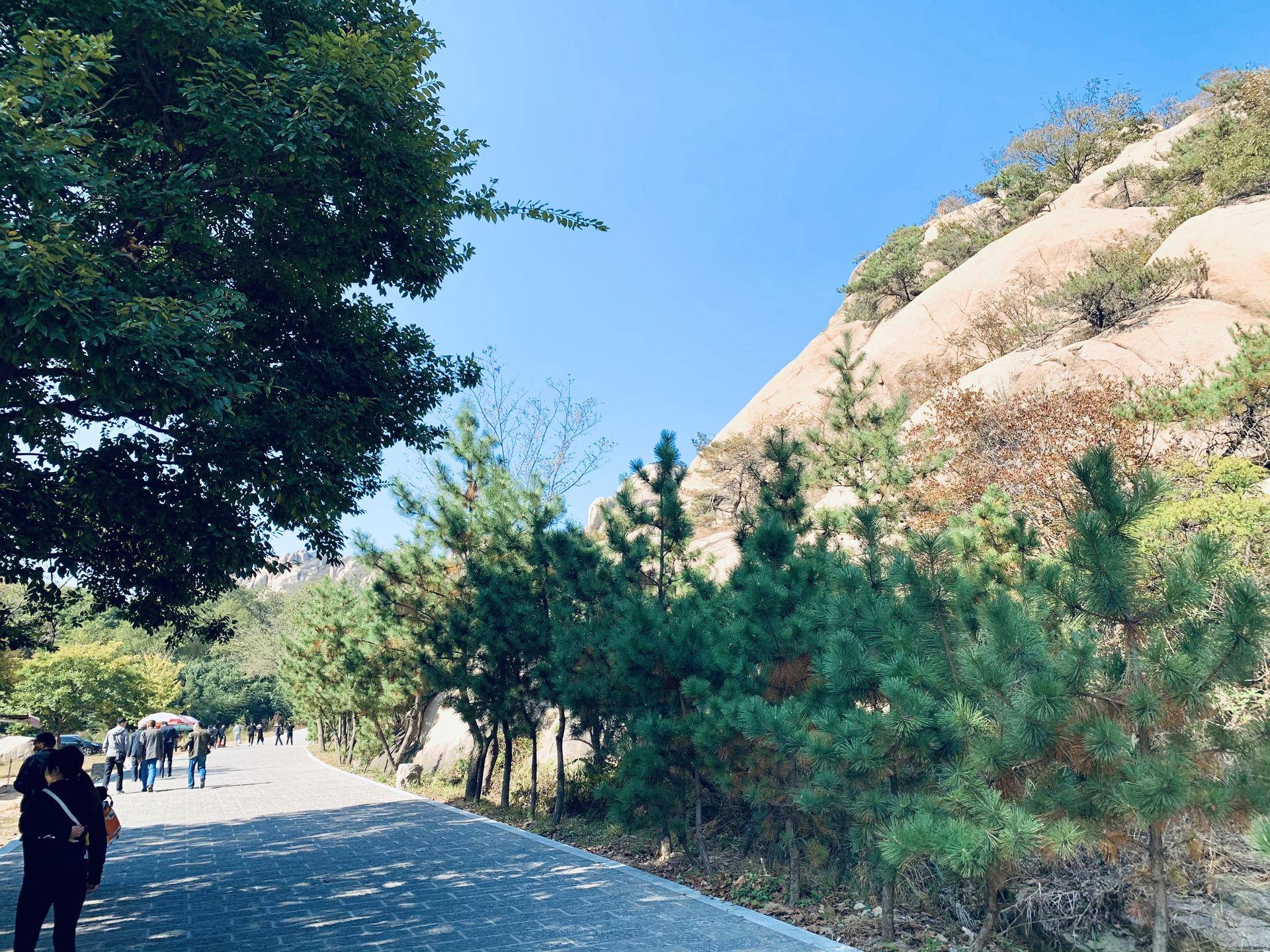 有山有水民宿原生态旅游,有山有水有云民宿名字