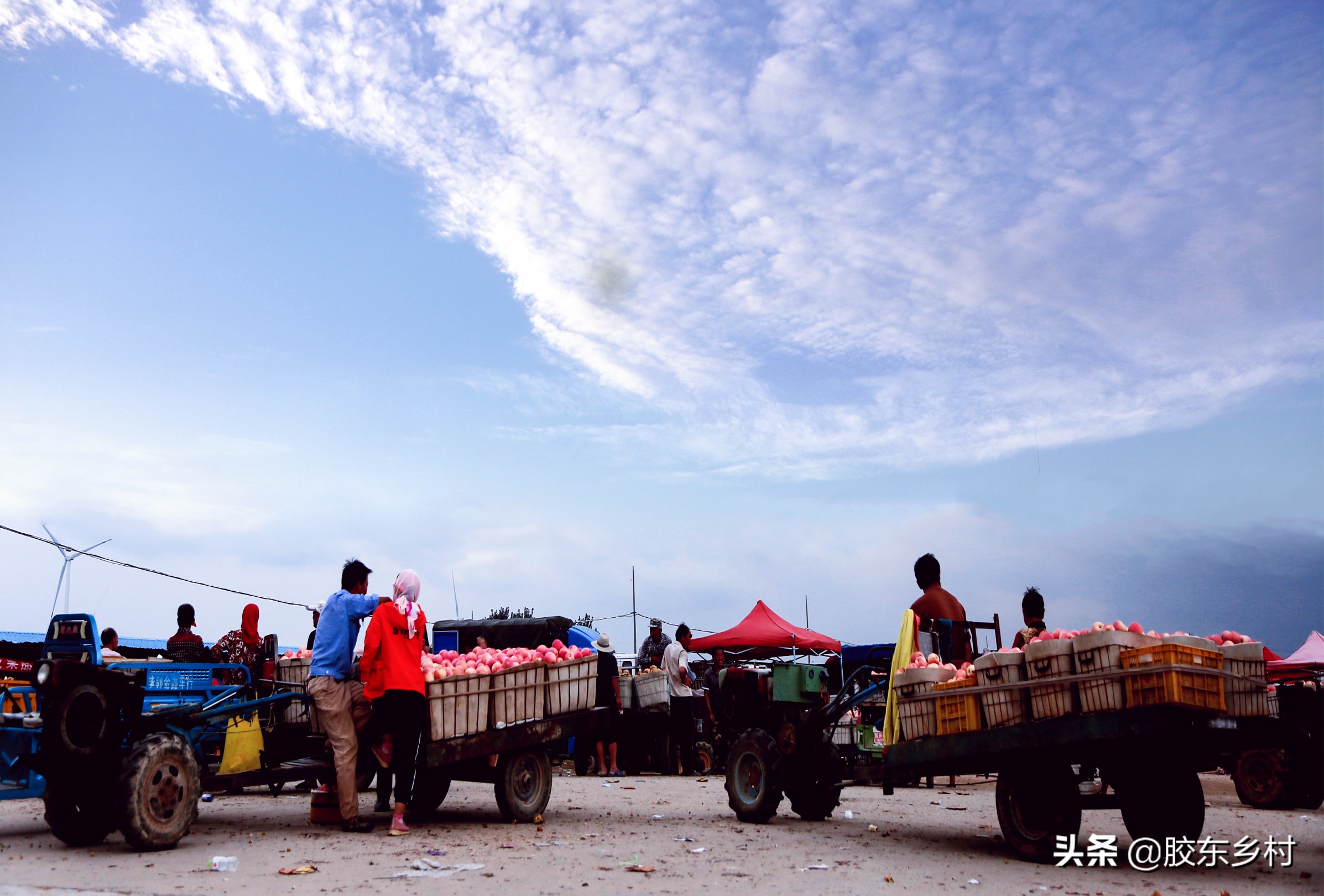 2023年烟台红富士苹果价格预测,预计今年红富士苹果市场走势如何