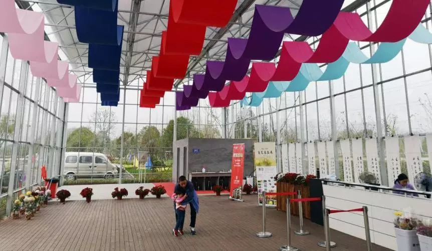 转发此推文,享绍兴平水海丰菊园半价票,更更更送自采菊花一束