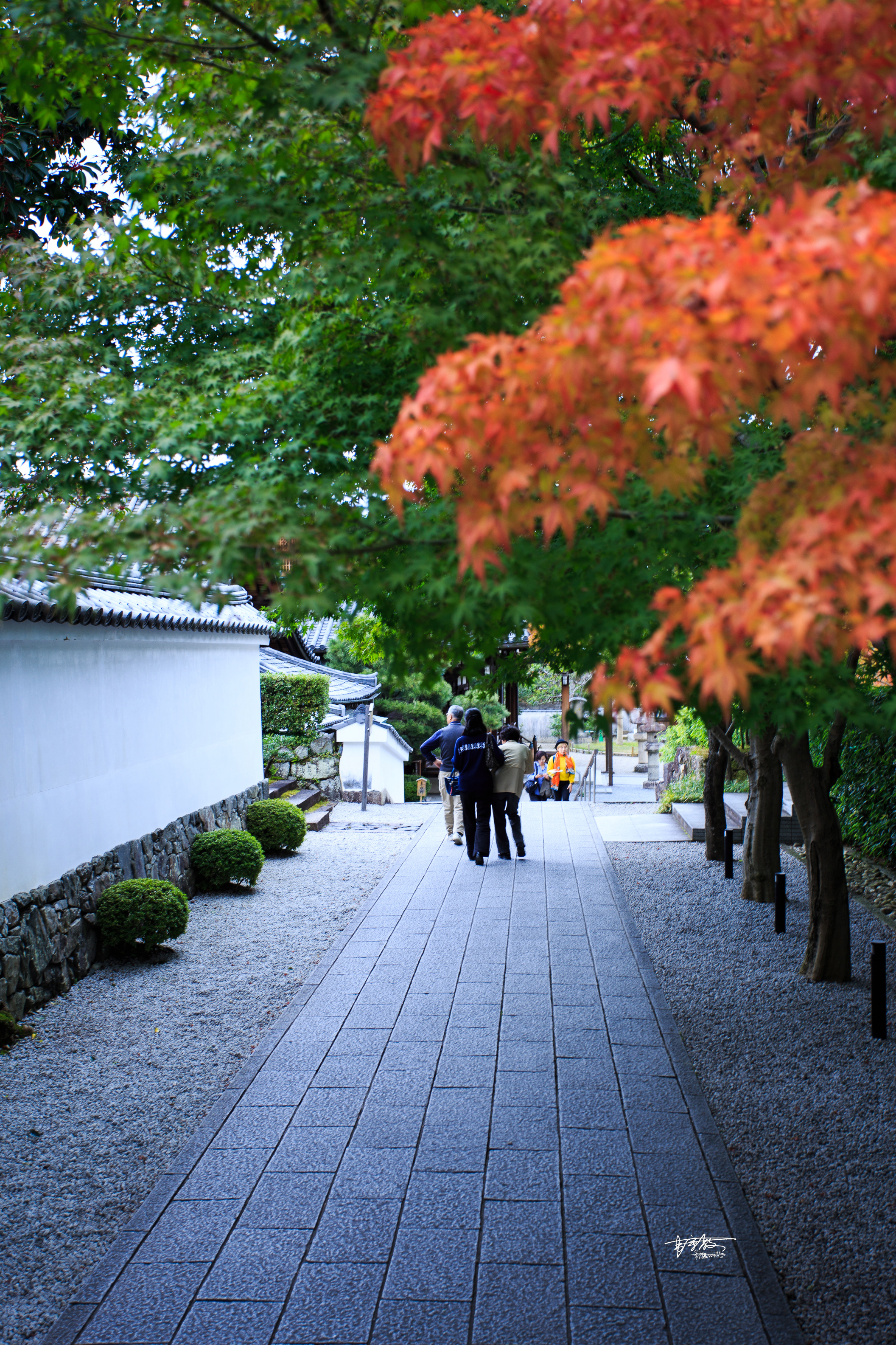 《万叶集》里的荒芜旧宫，千寻与无脸男走过的桥
