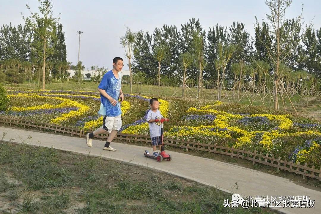 交道大集最新消息,交道大集新地址