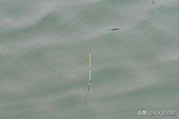 浮漂漂身长短有什么区别野钓,浮漂漂尾和漂脚的比例