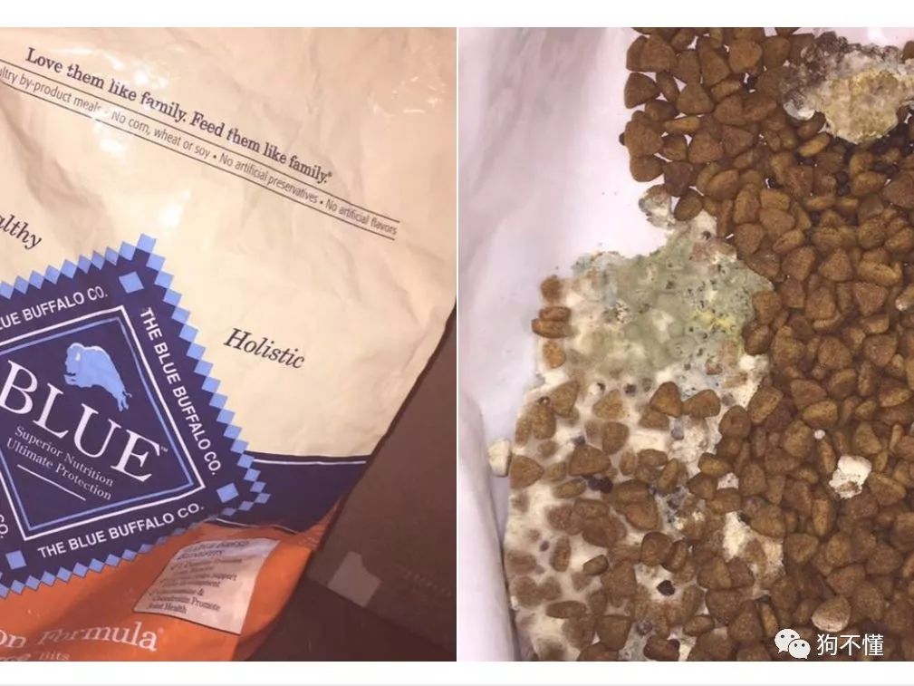 过期临期狗粮回收,临期过期食品可以吃吗