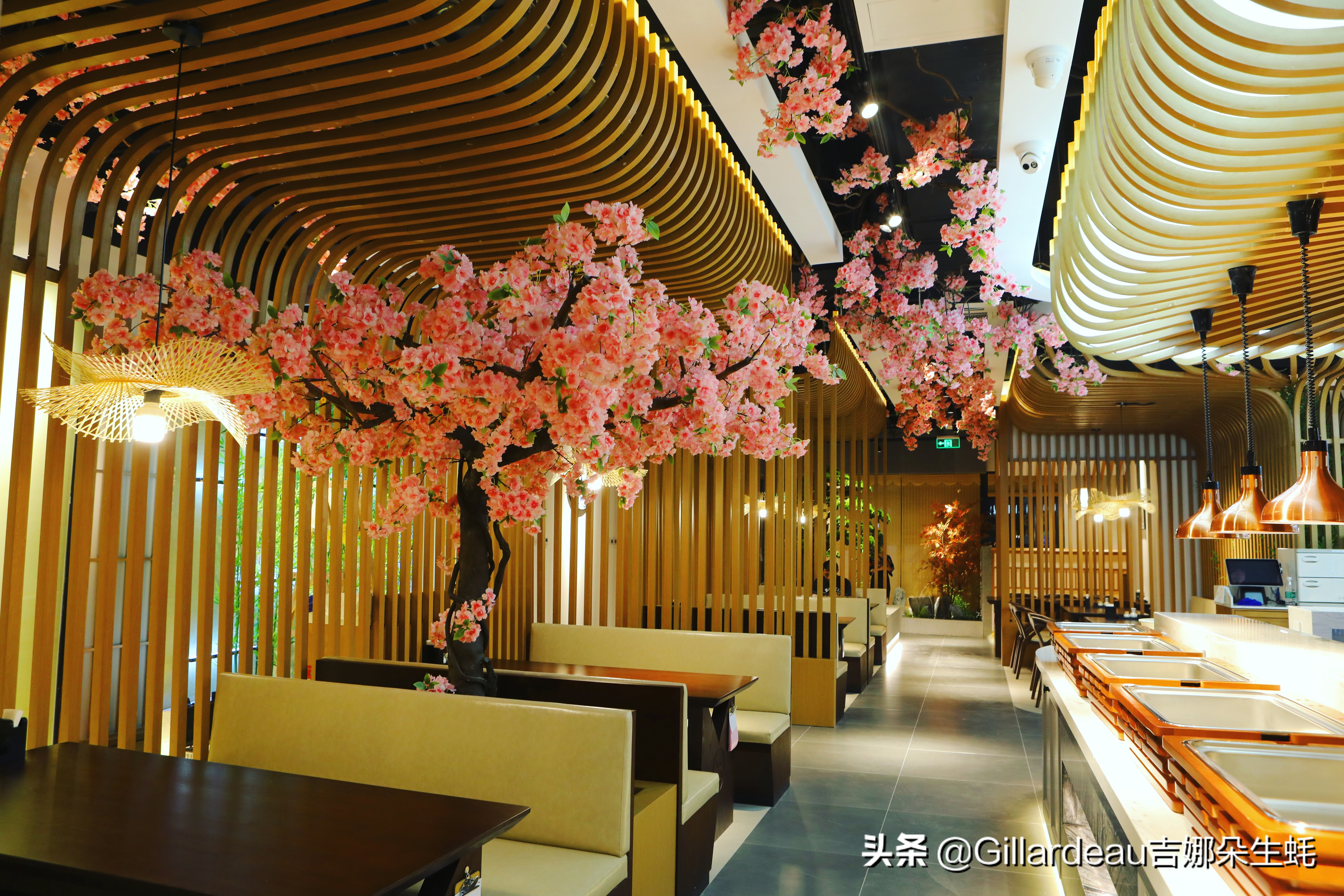 吉娜朵松子料理：在全面营业的日料店里，蚝自由地吃起来