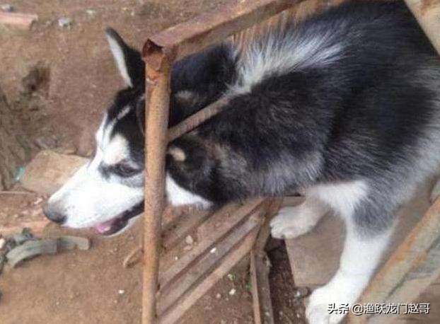 日常如何防止鱼竿卡节,鱼竿彻底解决卡节