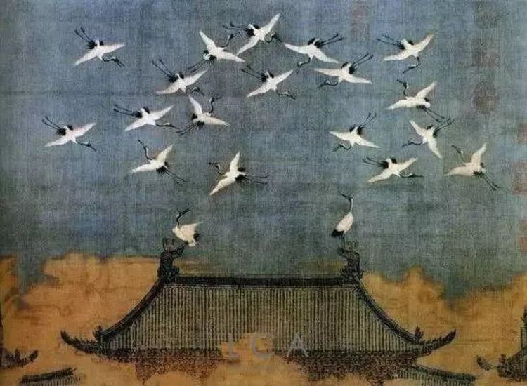 秋闲赏多肉，话育儿，亲生的自家娃，总有一刻让你怦然心动