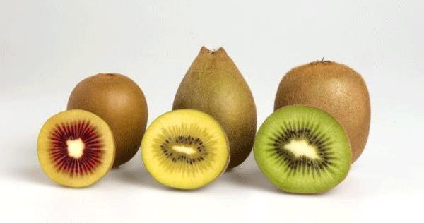 猕猴桃火龙果是什么颜色,火龙果和猕猴桃怎么选