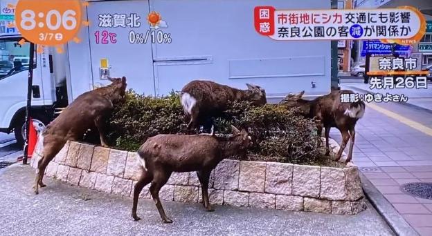 市场开始回暖行业备受关注,当前市场投资热点