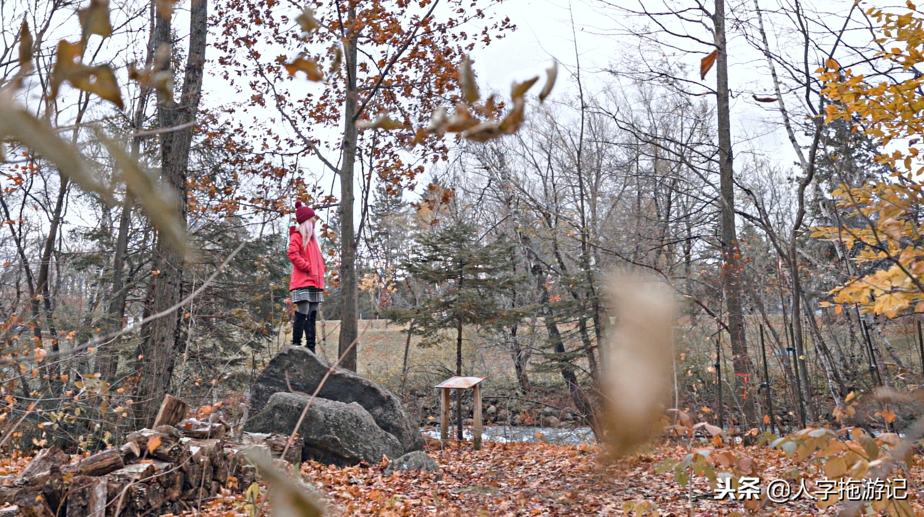 冬日极客,加拿大Wendake穿着狼爪去狼族