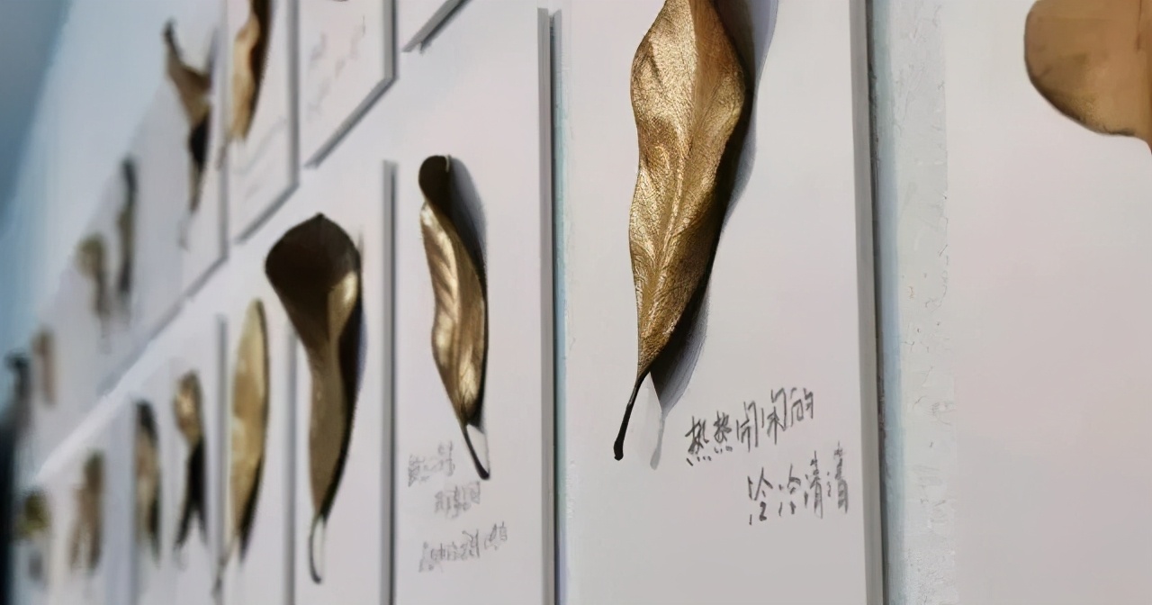 苏州小众却很棒的地方,五一来苏州必去的打卡地