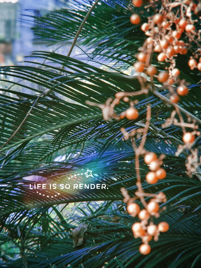 一部手机拍大片视频,一部手机就可以拍出大片