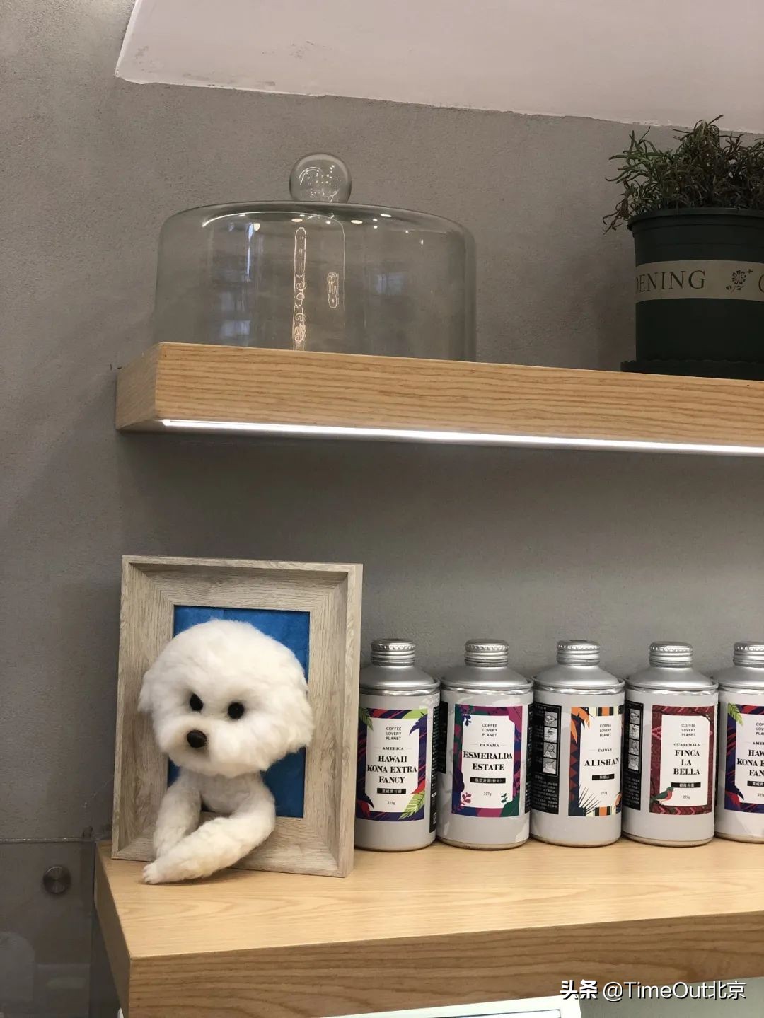 北京最好的法式面包店,北京最受欢迎的面包店推荐