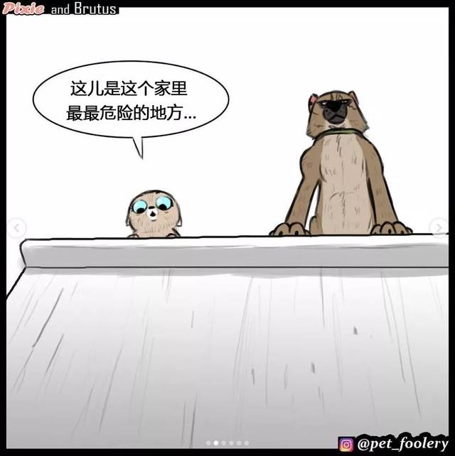 这反差萌也太有爱了，实力宠喵没商量！