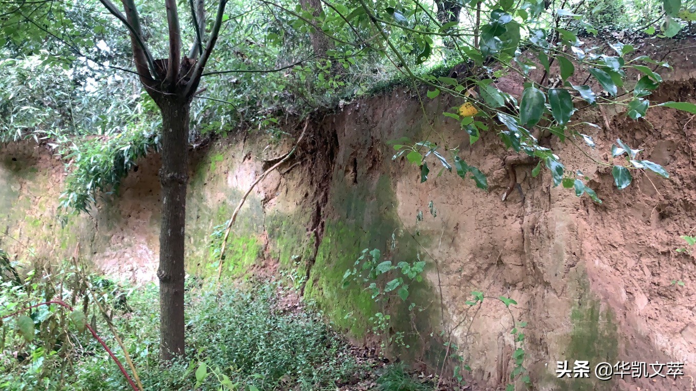 麦城关羽有什么说法,麦城中的关羽