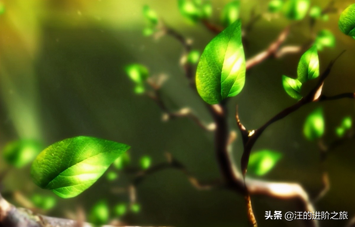 遇见余世维最新视频,余世维感情