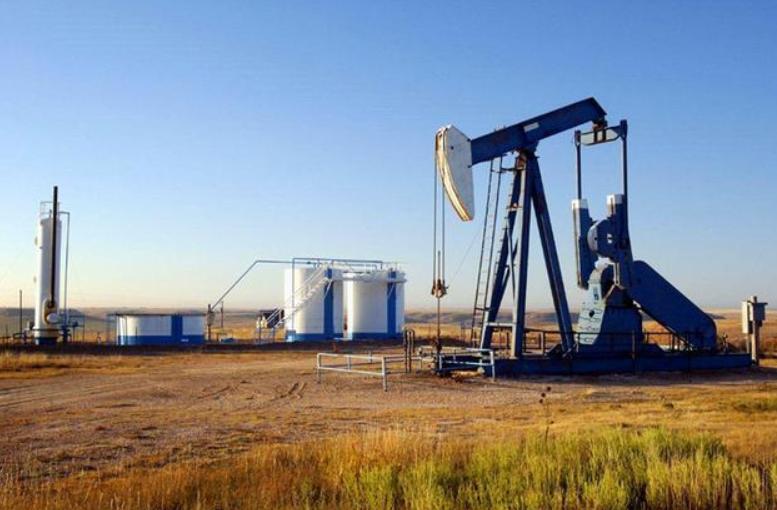 委内瑞拉石油储量占世界的百分比,委内瑞拉石油储量最高的国家