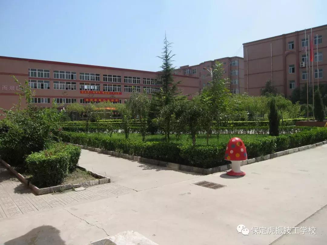 河北保定虎振技校靠谱吗,保定虎振学习烘焙怎么样