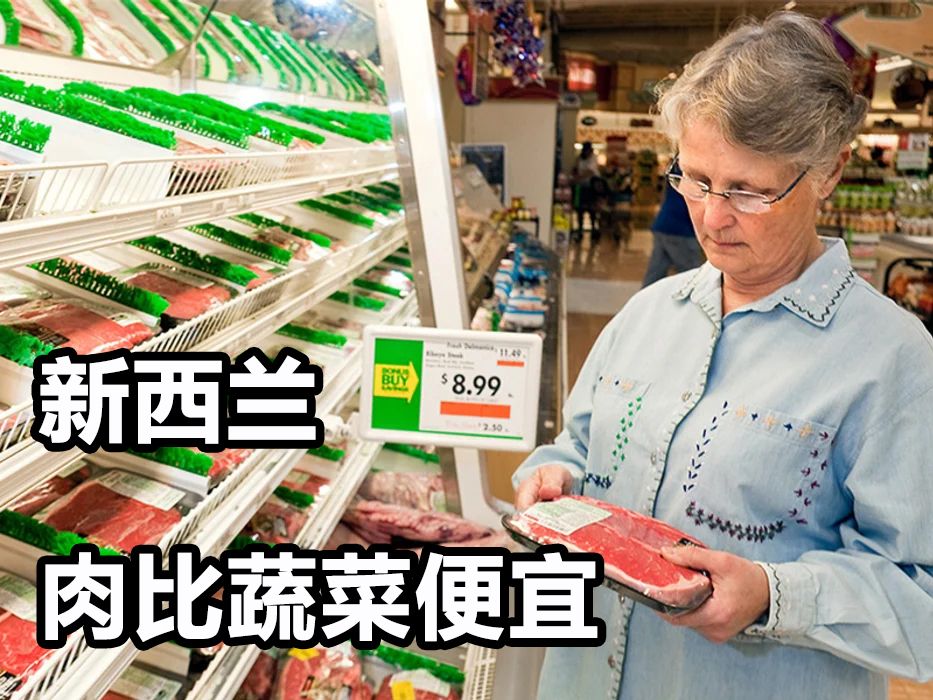 新西兰生活体验,新西兰的亲身经历